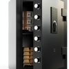 DAYI Biometric Fireproof Safe Alloy Steel Wall Mount-0