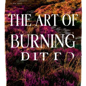 Montlake Kindle Book Coming of Age Fiction Women Readers-0