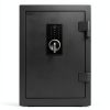 DAYI Biometric Fireproof Safe Alloy Steel Wall Mount-1