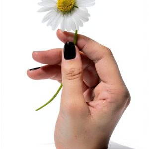 Bleeding Hearts Series Book 1 Kindle Edition English Fiction-0