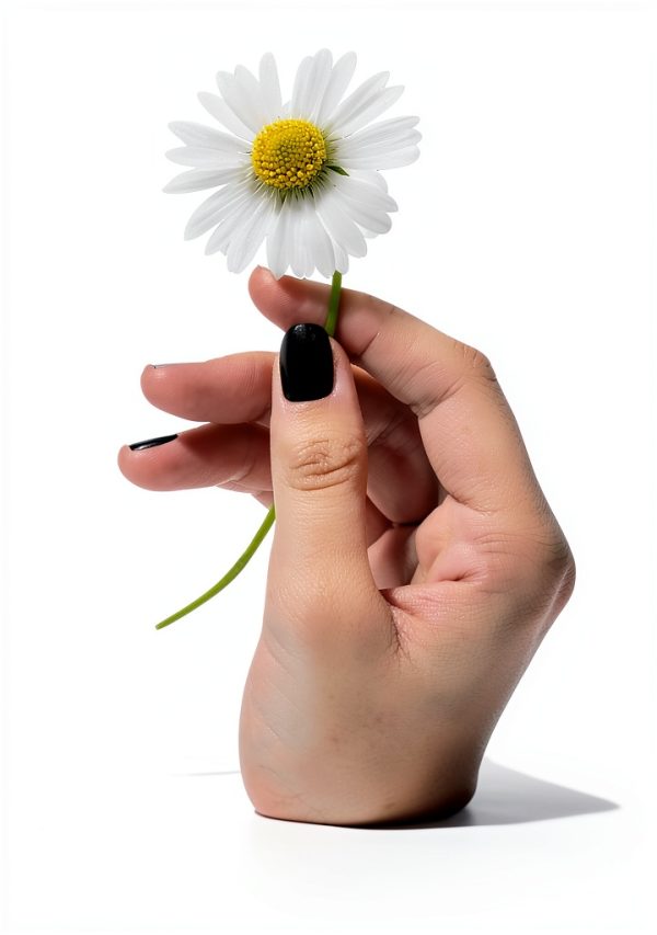 Bleeding Hearts Series Book 1 Kindle Edition English Fiction-0